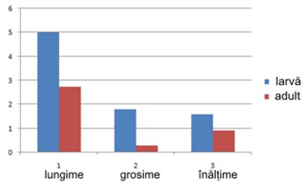 dimensiuni testicule