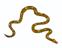 Clipart - Serpent - Serpents - Cliparts - Image