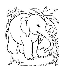 Clique ici pour imprimer le coloriage Dans la savane !