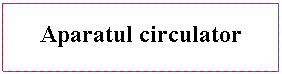 Text Box: Aparatul circulator