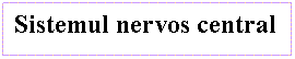 Text Box: Sistemul nervos central