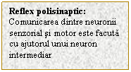 Text Box: Reflex polisinaptic:
Comunicarea dintre neuronii senzorial si motor este facuta cu ajutorul unui neuron intermediar
