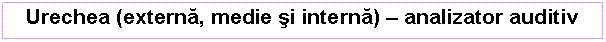 Text Box: Urechea (externa, medie si interna) - analizator auditiv