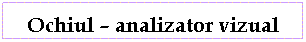 Text Box: Ochiul - analizator vizual