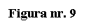 Text Box: Figura nr. 9