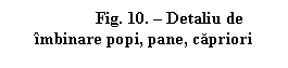 Text Box: Fig. 10. - Detaliu de imbinare popi, pane, capriori

