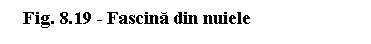 Text Box: Fig. 8.19 - Fascina din nuiele

