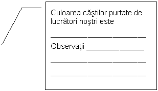 Line Callout 3: Culoarea castilor purtate de lucratori nostri este
_____ _______ ______ ________
Observatii ______________
_____ _______ ______ ________
_____ _______ ______ ________
