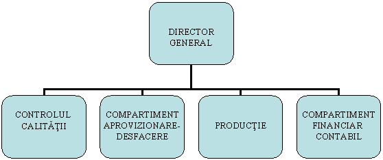 Organization Chart