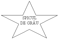 5-Point Star: SPICUL DE GRAU