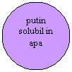 Oval: putin solubil in apa