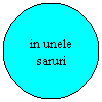 Oval: in unele saruri
