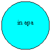 Oval: in apa
