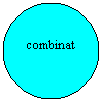 Oval: combinat
