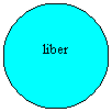 Oval: liber
