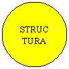 Oval: STRUC
TURA
