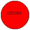 Oval: OXIGEN
