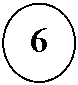 Oval: 6