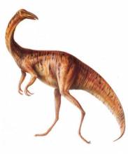 gallimimus