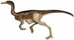 gallimimus