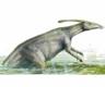 parasaurolophus