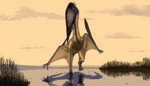 Noua specie de pterozaur descoperita in Marea Britanie