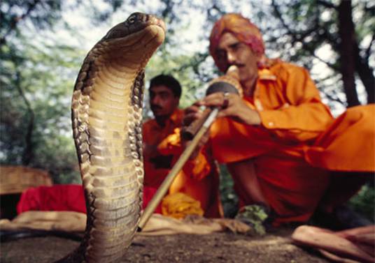 Photo: Snake Charmer