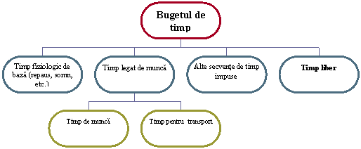 Organization Chart