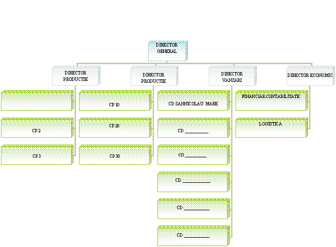 Organization Chart