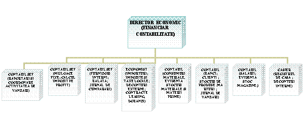 Organization Chart