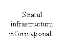 Text Box: Stratul infrastructurii informationale 
