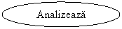 Oval: Analizeaza