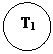 Oval:  T1