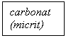 Text Box: carbonat
(micrit)
