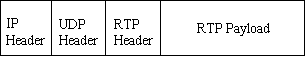 RTP packet structure