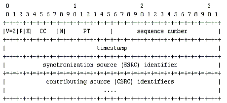 RTP header structure