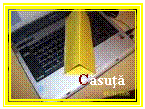 Text Box: Casuta

