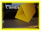 Text Box: Casuta

