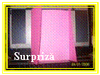 Text Box: Surpriza
