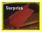 Text Box: Surpriza