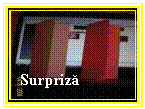 Text Box: Surpriza

