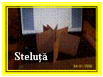 Text Box: Steluta

