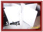 Text Box: Steluta

