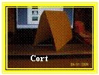 Text Box: Cort 

