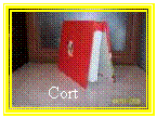 Text Box: Cort

