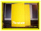 Text Box: Noutate 
