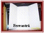 Text Box: Fereastra 

