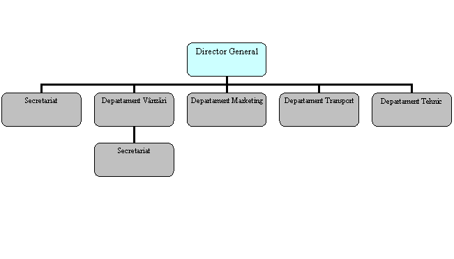 Organization Chart