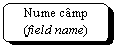 Rounded Rectangle: Nume camp 
(field name)
