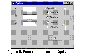 Text Box: 
Figura 5. Formularul proiectului Optiuni.
